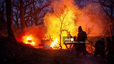 İran, orman yangınları için yardım çağrısında bulundu