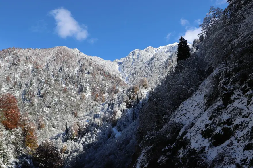 Ayder Yaylası'nda sonbahar ve kış birleşince ortaya kartpostallık görüntüler çıktı Ayder Yaylası'nda sonbahar ve kış birleşince ortaya kartpostallık görüntüler çıktı