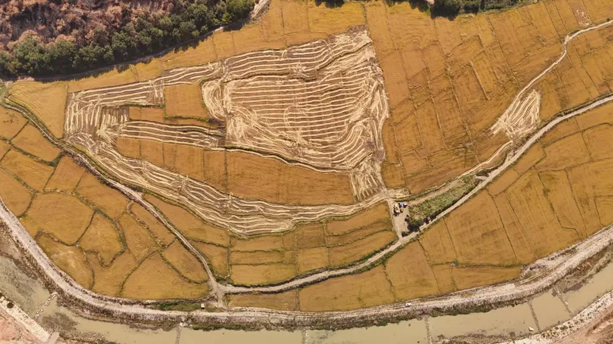 "Beyaz altın" olarak biliniyor: Bu yıl yüzde 40 düşüş yaşandı 5 "Beyaz altın" olarak biliniyor: Bu yıl yüzde 40 düşüş yaşandı 5