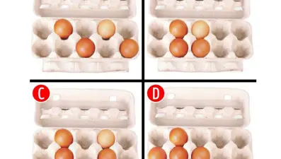 Yumurtaları kutuya nasıl yerleştirirsin? (Kişilik testi)
