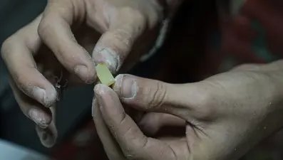 Fiyatı 150 bin lirayı buluyor: Guatr, astım ve bronşite iyi geldiği biliniyor