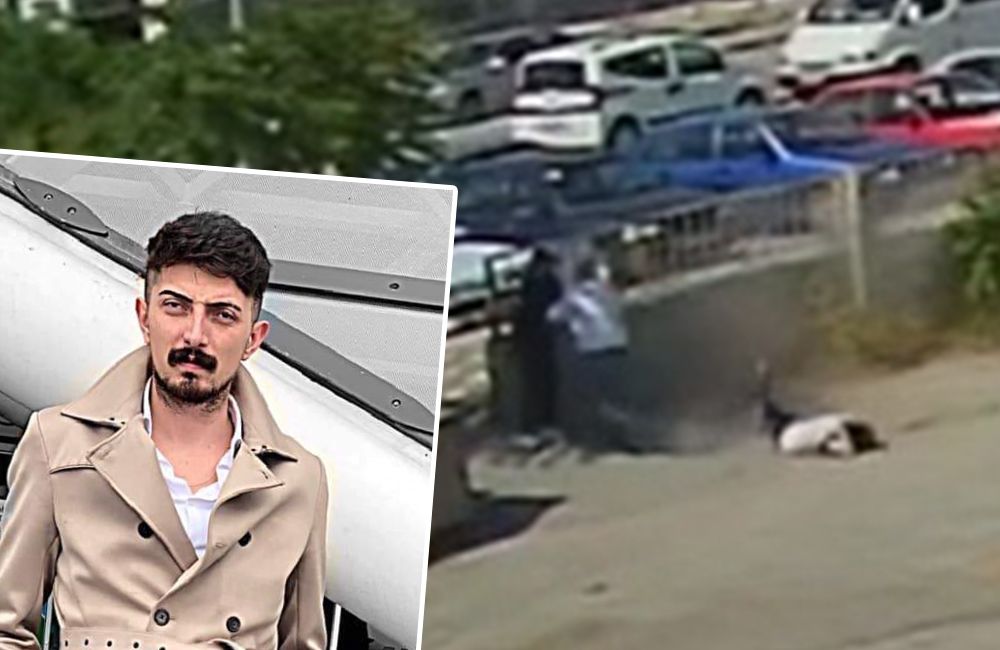 Tıp mezunu otobüs şoförü pompalı tüfekle öldürüldü
