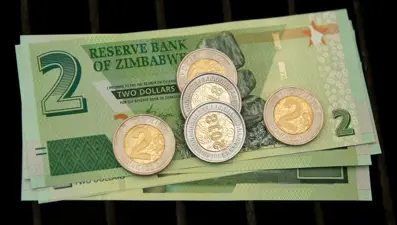 Zimbabve, piyasaya 100'lük banknot sürecek