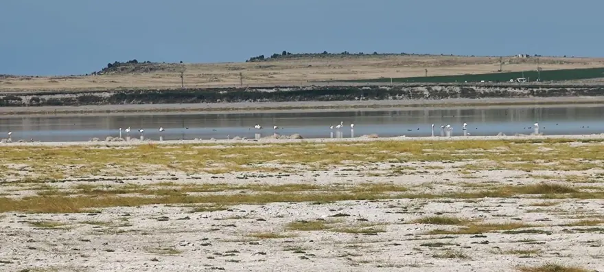 Düzensiz sulama Arin Gölü'nü yok ediyor 2 Düzensiz sulama Arin Gölü'nü yok ediyor 2