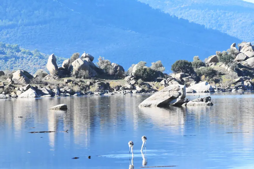 Bafa Gölü 261 kuş türüne ev sahipliği yapıyor 6