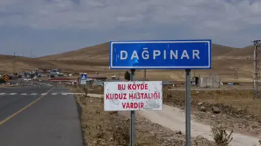 Kars'ta kuduz vakası... Bir belde karantinaya alındı