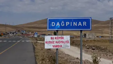Kars'ta kuduz vakası... Bir belde karantinaya alındı