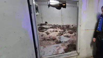 6 ton kaçak avlanan kalkan ele geçirildi