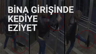 Kedi mamalarına çamaşır suyu dökmüş, bıçakla tehditten hüküm giymişti