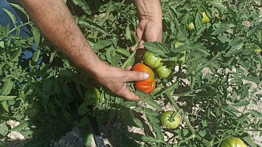 "BİR YOLA ÇIKTIK" 4 "BİR YOLA ÇIKTIK" 4