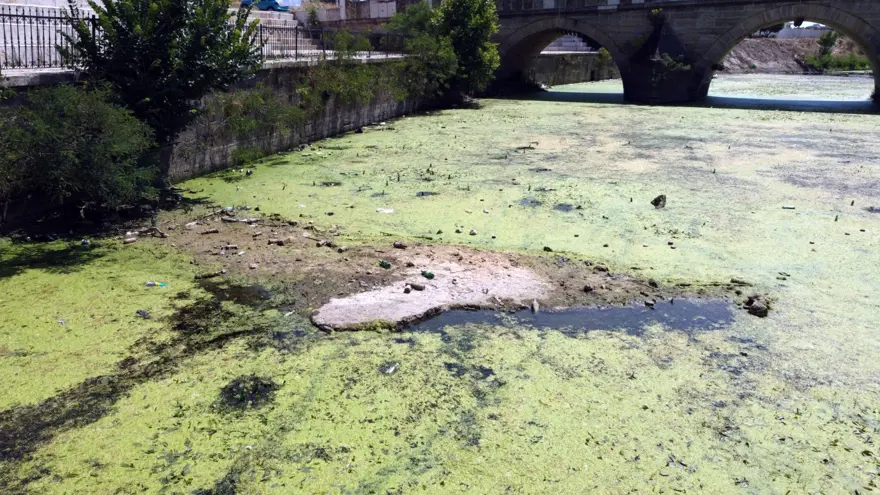 Meriç Nehri'nde kritik seviye aşıldı 11