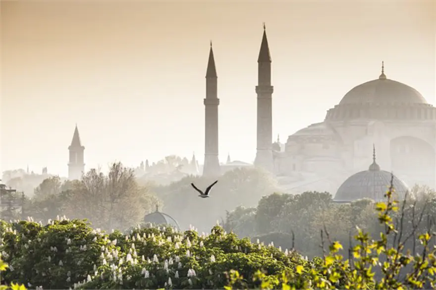 1. İstanbul 1