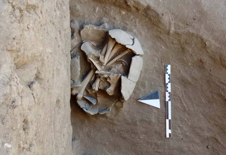 Eskişehir Küllüoba Höyüğü'nde 5 bin yıllık küp mezarlarda çocuk iskeletleri bulundu 9