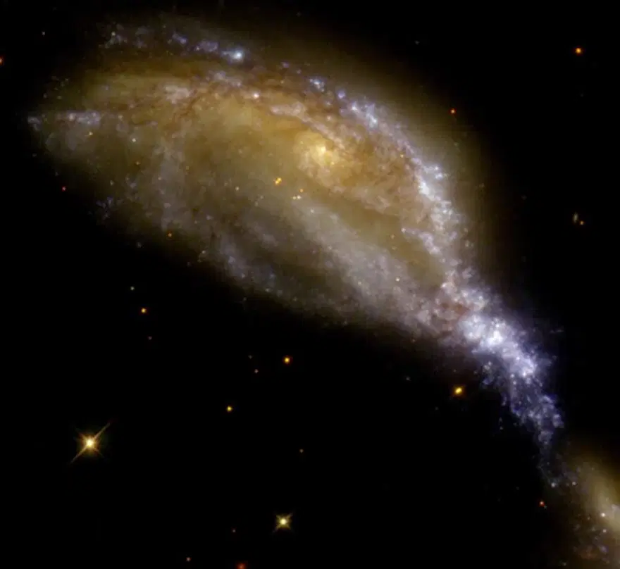 NASA'dan 'James Webb' açıklaması (NASA'nın uzaydaki yeni gözü olacak) 43