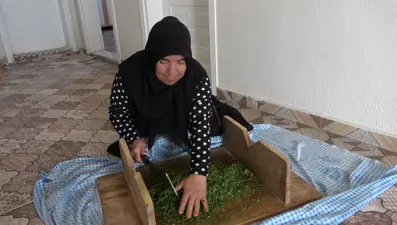 İç Anadolu'nun vazgeçilmez lezzeti: Bahar gelince sofralarda yerini aldı