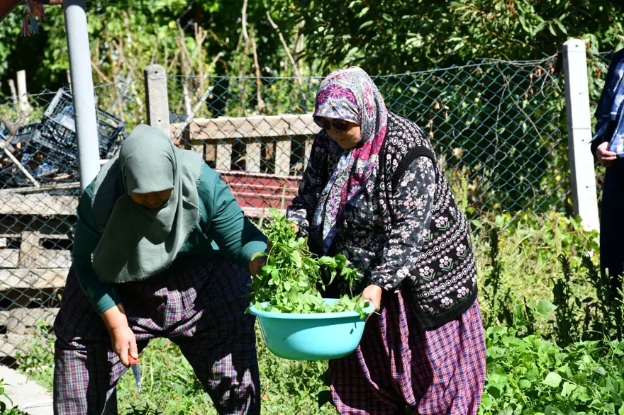 Taze naneden üretiliyor, 1 kaşığı nefes açıyor: Şişesi 200 lira 6