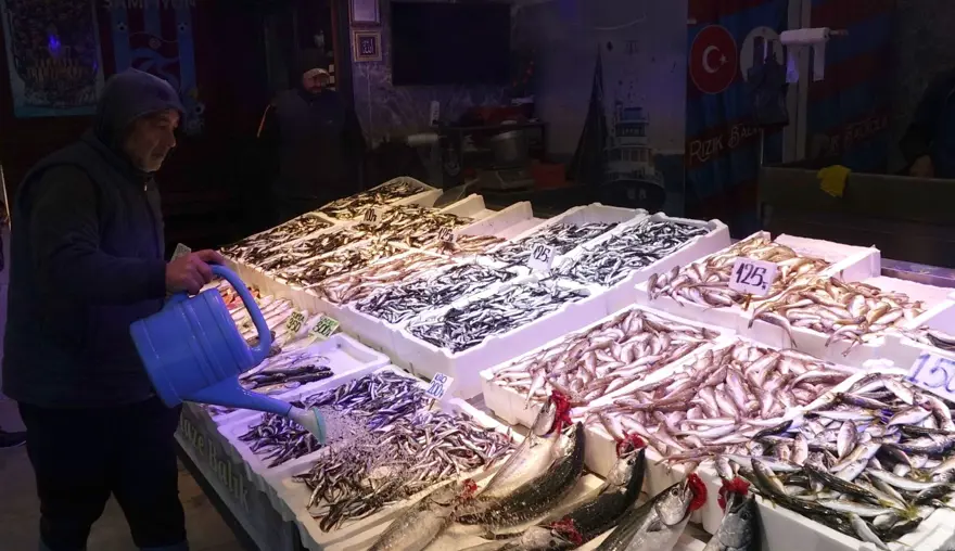 Karadeniz’de hamsibolluğu: Tezgahlar doldu 3