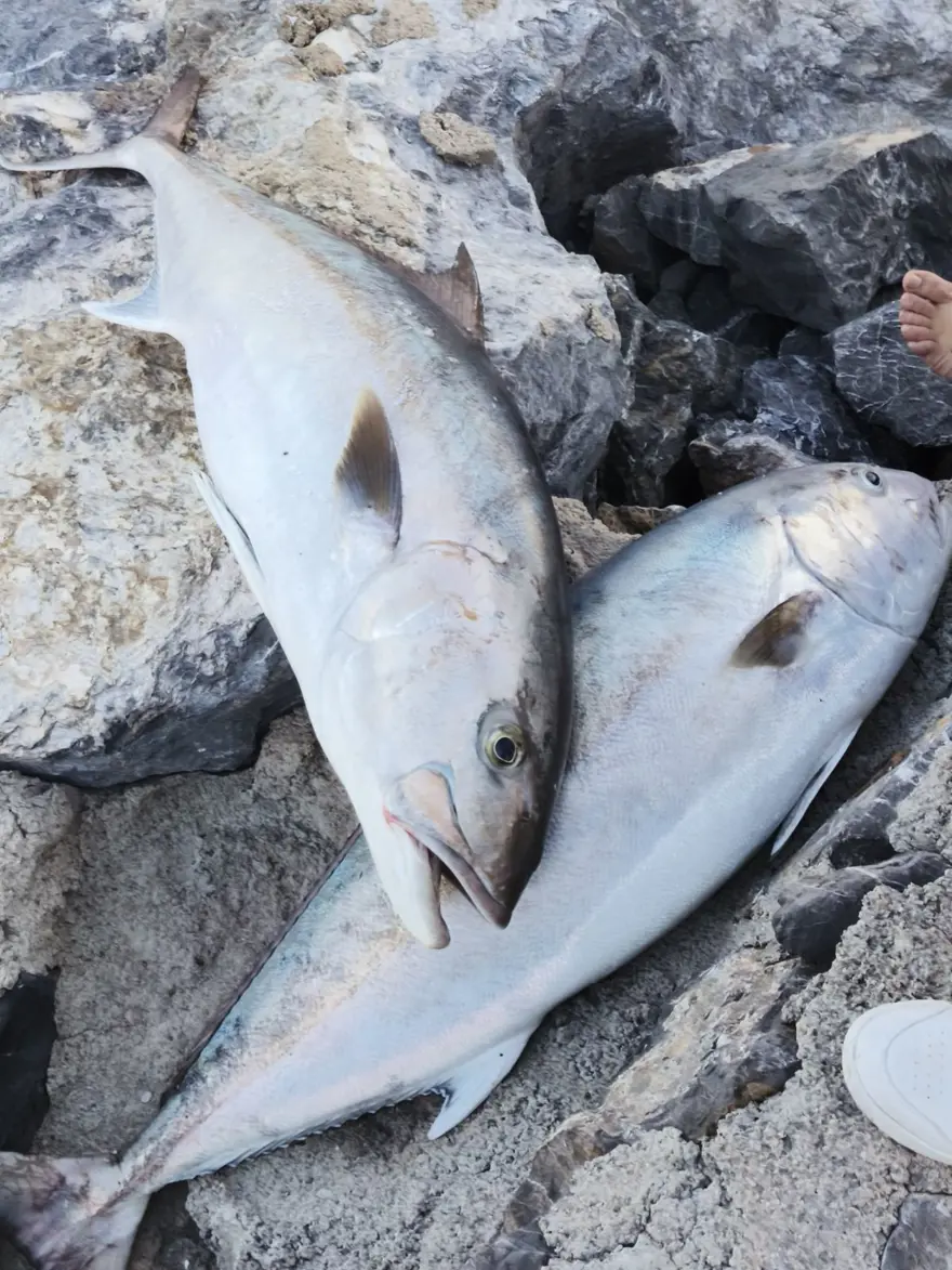 "18 BİN TL'YE SATTIK" 3