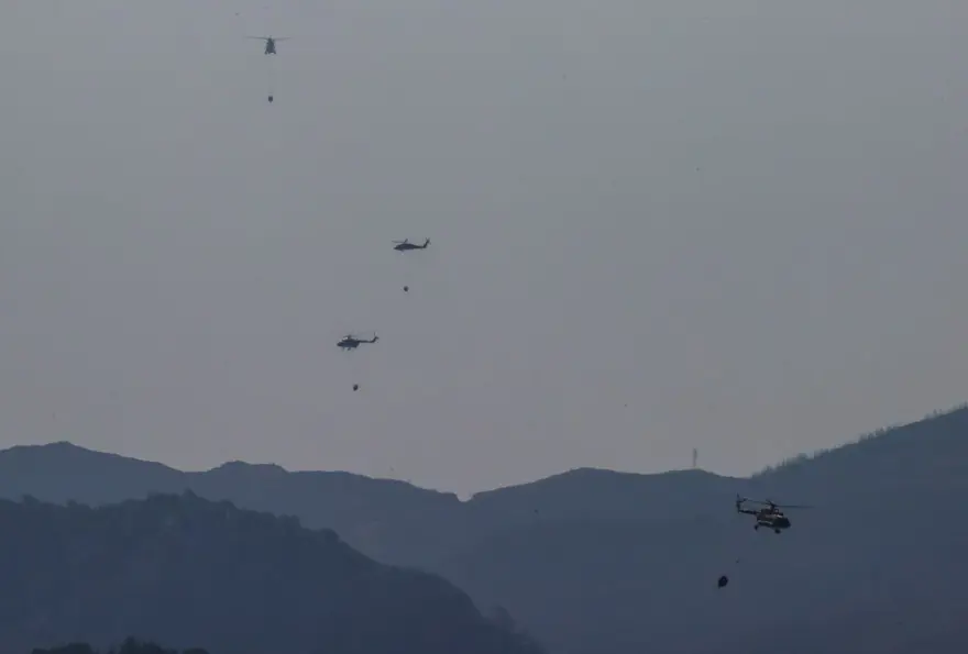 Cumhurbaşkanı Erdoğan: Marmaris'teki orman yangını büyük oranda kontrol altında 91