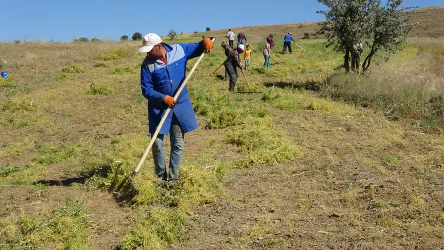 Türkiye'de ilk sırada yer alıyor! Aylık 45 bin liraya çalışacak işçi bulamıyorlar 2