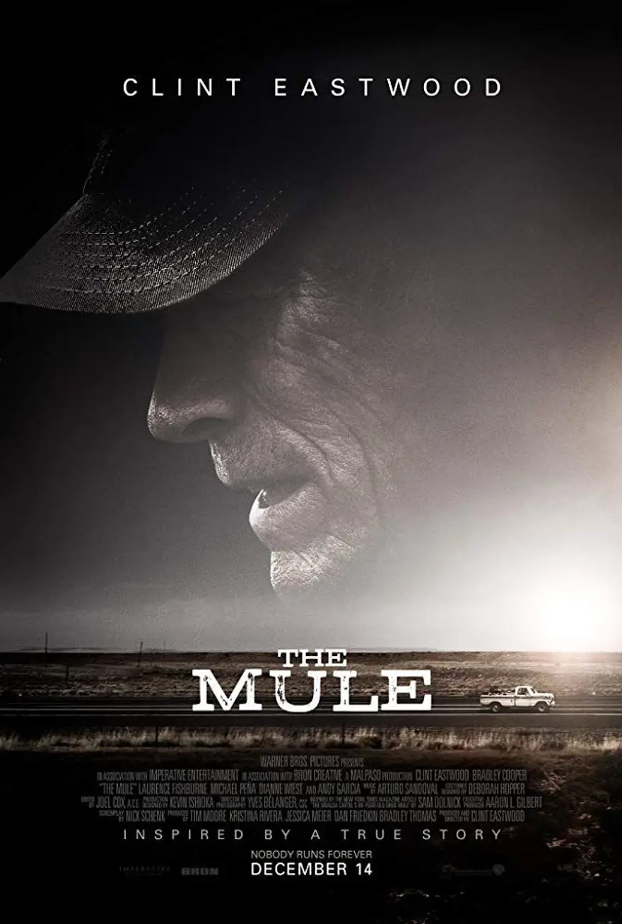 En popüler yabancı filmler (IMDb Şubat 2019 verileri) 20