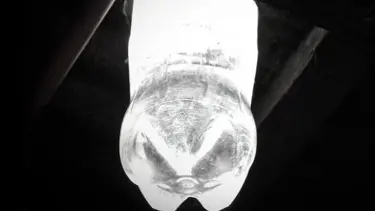 Plastik şişeden bedava ampul!