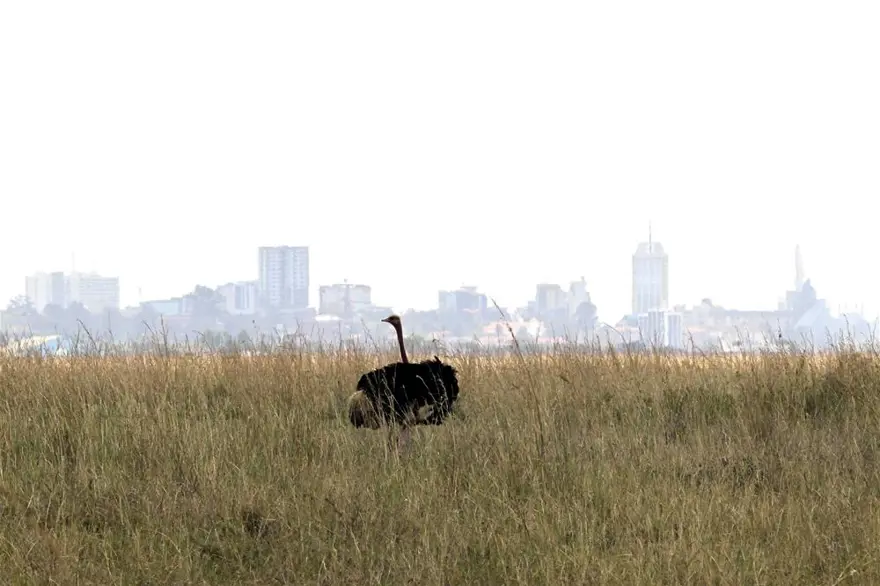 'Doğanın gözyaşı' 18