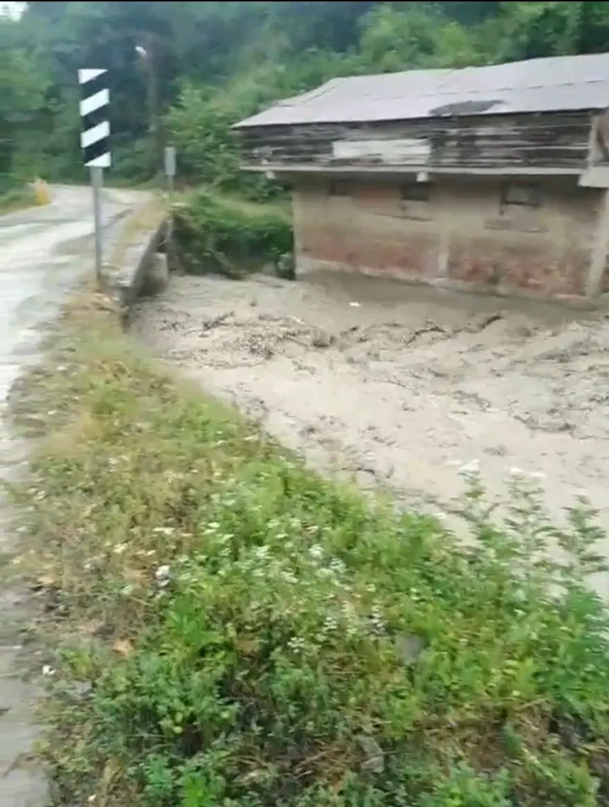 Karadeniz'i sel vurdu: Dereler taştı, yollar göle döndü, evleri su bastı 50 Karadeniz'i sel vurdu: Dereler taştı, yollar göle döndü, evleri su bastı 50