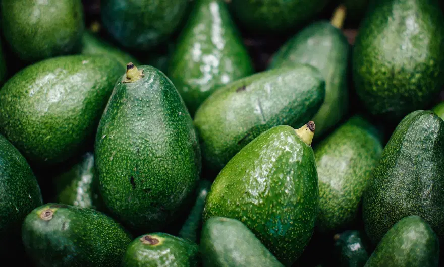 Avokado sağlıklı mı, zararlı mı? Bu etkisi çok az biliniyor 1 Avokado sağlıklı mı, zararlı mı? Bu etkisi çok az biliniyor 1