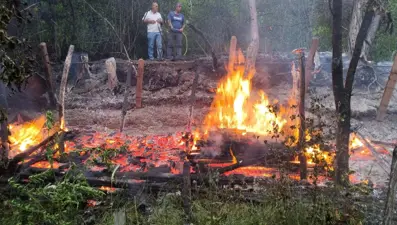 Zonguldak'ta bal üreticisinin barakası yandı