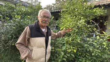 Almanya'da gördüğü meyveleri Samsun'da kimyasal ilaçsız yetiştiriyor