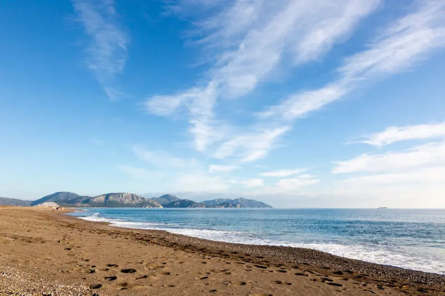 9- SARIGERME / MUĞLA 8 9- SARIGERME / MUĞLA 8