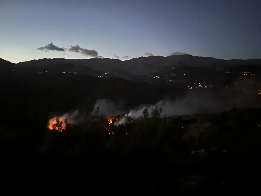 Manisa, Kahramanmaraş ve Antalya'da orman yangınları 8