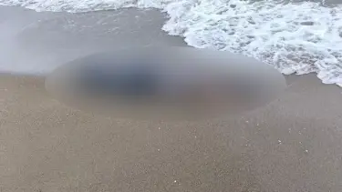 Kayıp olarak aranıyordu, cansız bedeni bulundu