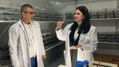 Akrep zehrini şekere damlatıp yiyor