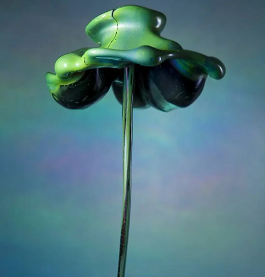 Tablo gibi çiçekler 12