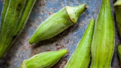 Derin dondurucuda bamya nasıl saklanır?