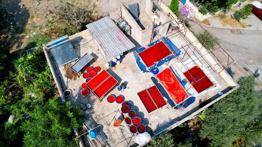 Adana'da salça sezonu başladı: Çatılar kırmızıya boyandı 6