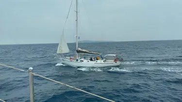 Bodrum'da 71 kaçak göçmen yakalandı