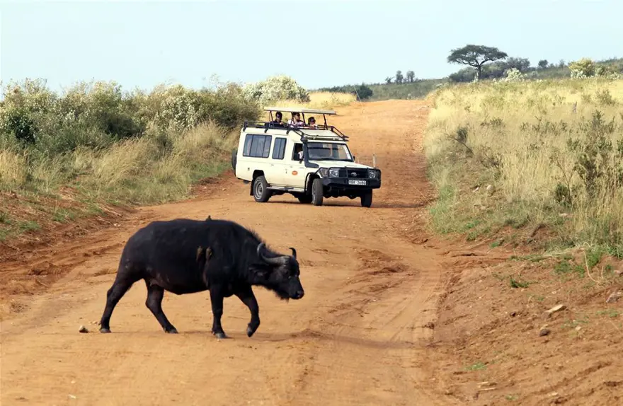 'Doğanın gözyaşı' 