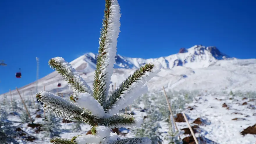 Erciyes'te sezon açılmadan oteller doldu taştı 11
