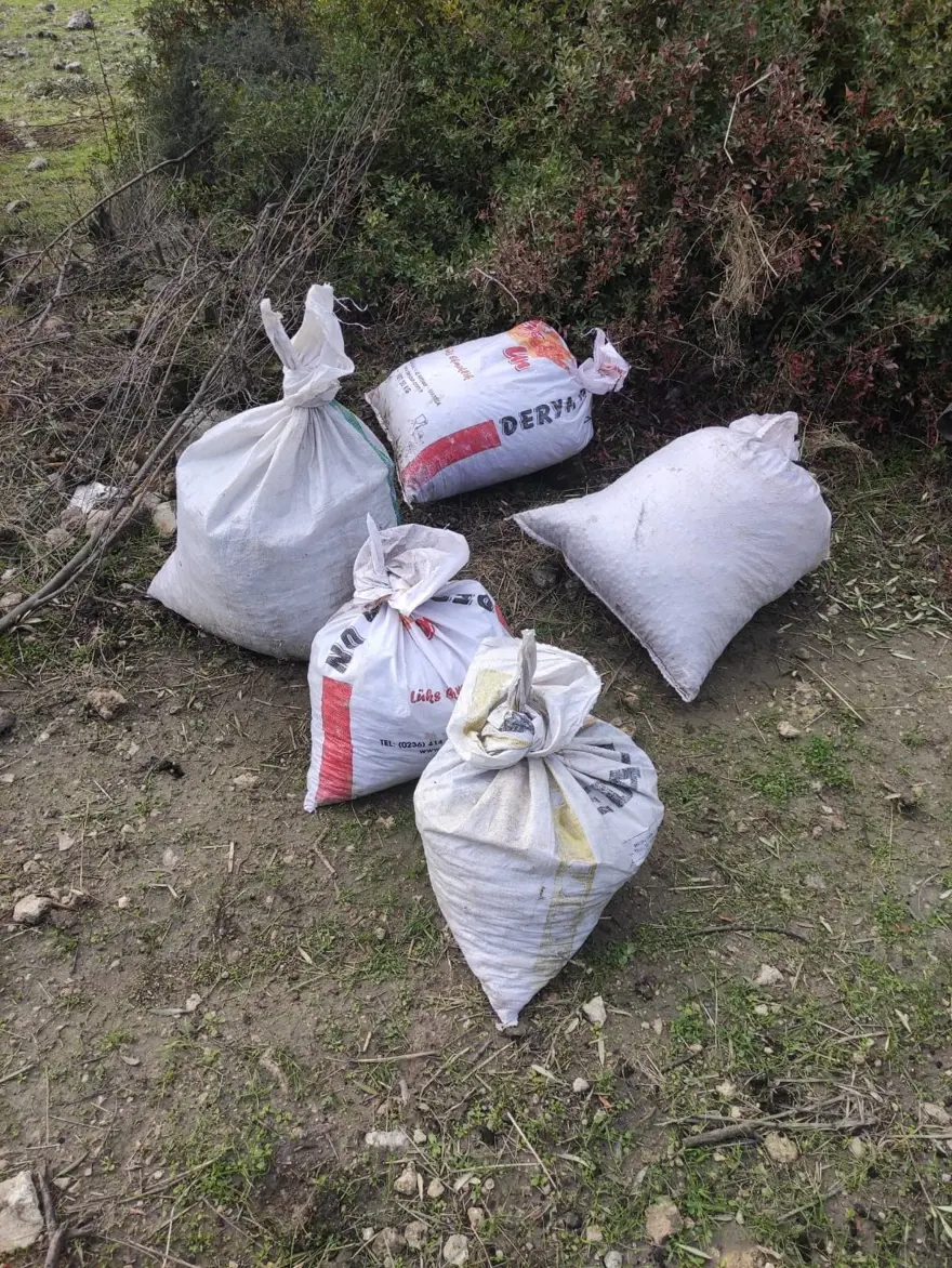 "Yeşil altın" için 22 bekçi görev yapıyor: 7/24 mesai yapıyor, hırsızlara geçit vermiyorlar 4 "Yeşil altın" için 22 bekçi görev yapıyor: 7/24 mesai yapıyor, hırsızlara geçit vermiyorlar 4