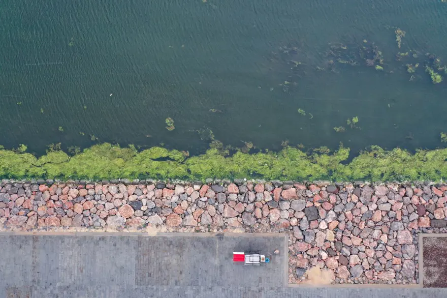 Balık ölümlerinden sonra şimdi de yosun kirliliği 2 Balık ölümlerinden sonra şimdi de yosun kirliliği 2
