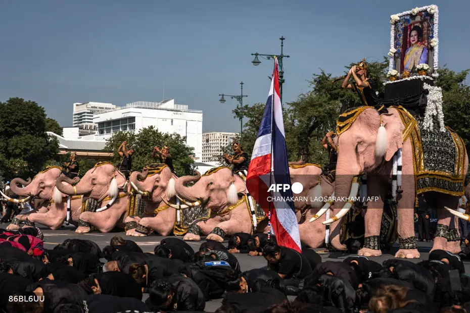 Pembe filler Tayland'da merhum kraliçe için yürüdü