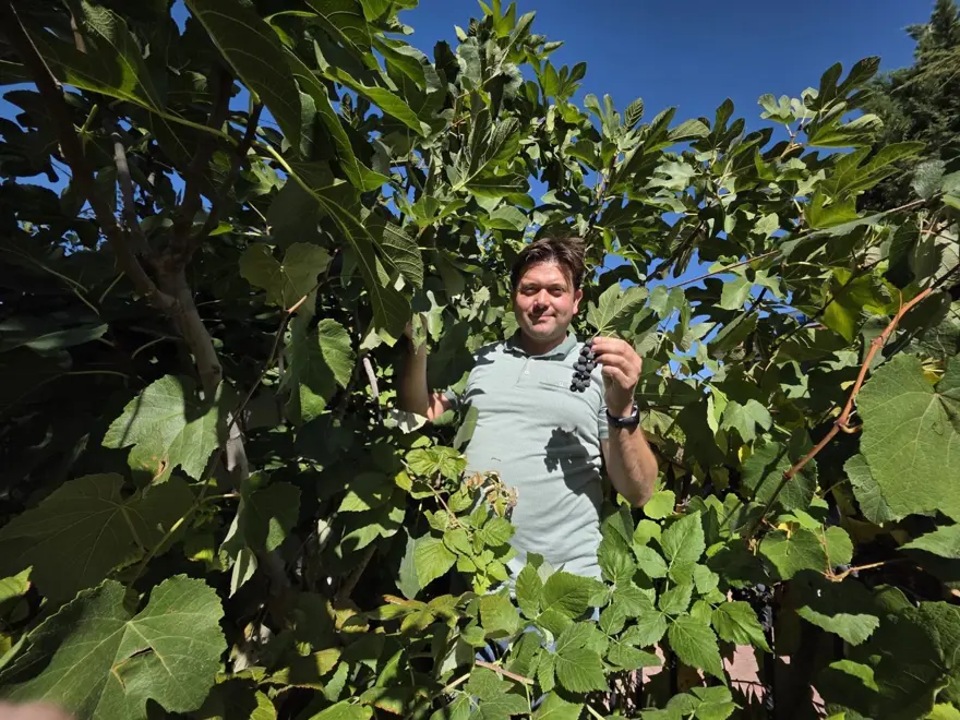 Doktor evinin bahçesinde yetiştirdi: 30 farklı ağaç ve 30'un üzerinde bitki 3 Doktor evinin bahçesinde yetiştirdi: 30 farklı ağaç ve 30'un üzerinde bitki 3