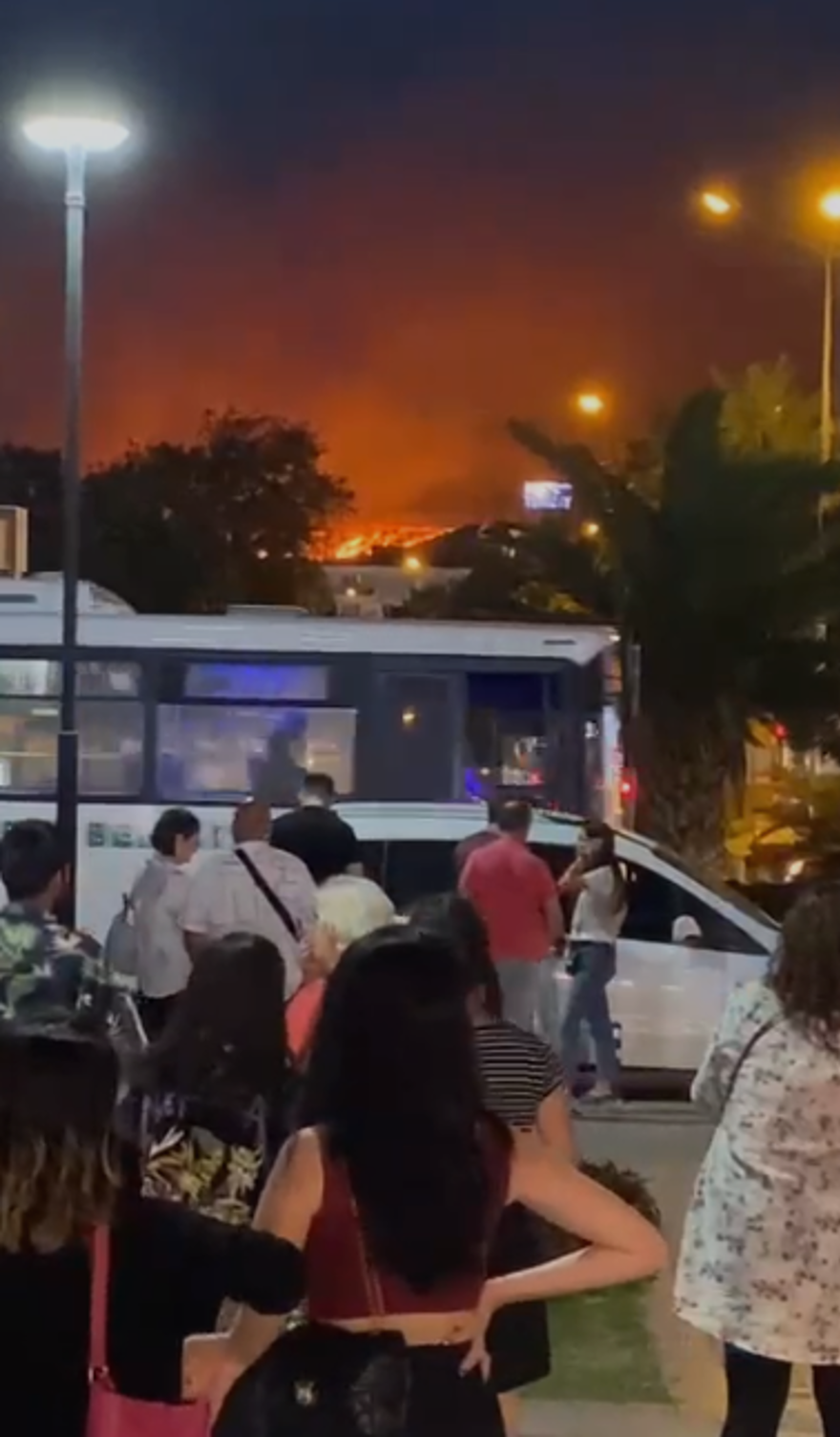 Çanakkale'de orman yangını kontrol altında 72