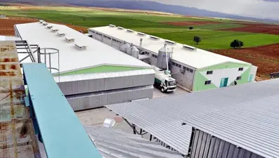 Yumurta firmasına kayyum atandı