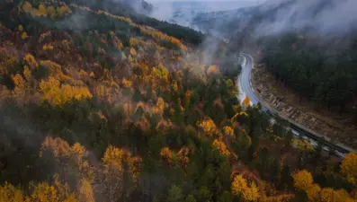 Domaniç Dağları'ndaki kıvrımlı yollar sonbaharın renkleriyle buluştu