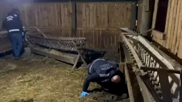 Kümesten tavuk yerine uyuşturucu çıktı