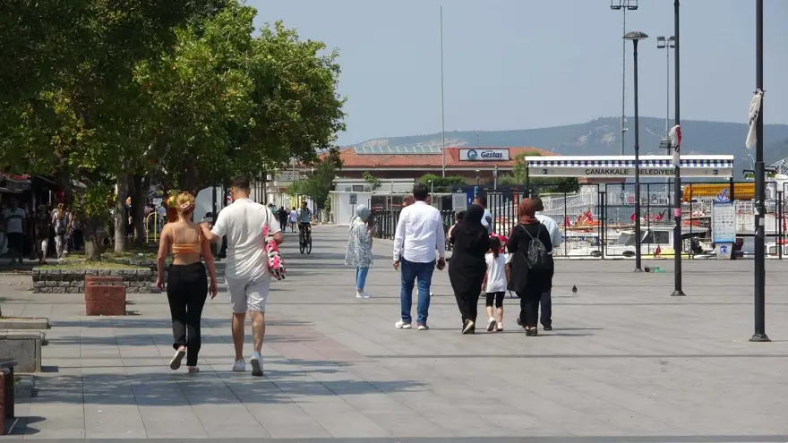 Türkiye “Aedes Aegypti” tehdidi altında | “Viralhastalıklar artabilir” uyarısı 3